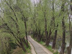 -西溪国家湿地公园