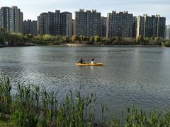 -南翔镇银翔湖公园