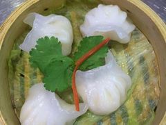 精美虾饺-超粤