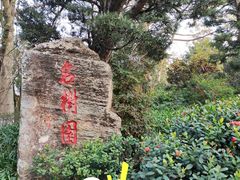 门口-名树园