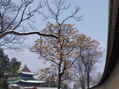 -集市口(西红门宜家店)