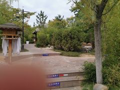 -汤泊温泉度假村