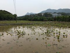 景点-韶山毛泽东同志故居