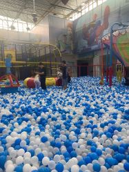 -爱丽丝奇幻乐园