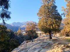 -泰山风景名胜区-虎山公园