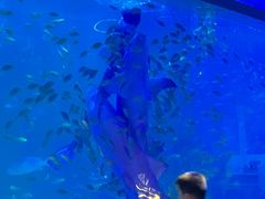 -常州海昌海洋探索馆