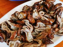 -春发芽葫芦头(科技二路旗舰店)