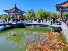 -长春市南湖公园