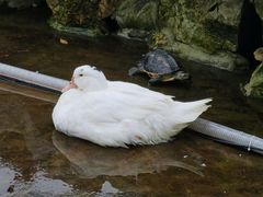 -龙华寺
