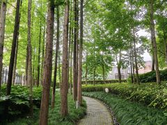 -陈家山荷花公园