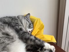 -京津佛罗伦萨小镇