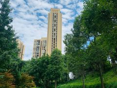 -龙头寺公园