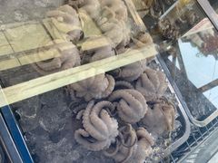 -铭聚章鱼土笋冻(松柏店)