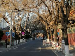 -北京国子监胡同