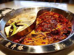 麻辣菌汤鸳鸯锅-井格重庆火锅(友谊路新业广场店)
