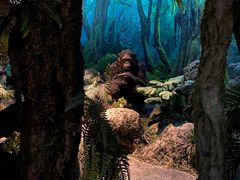 -国家自然博物馆