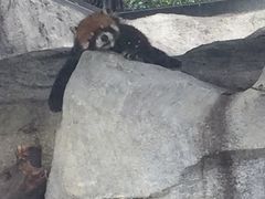 -泉州海丝野生动物世界