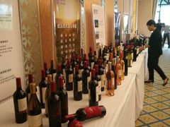 -沈阳于洪碧桂园凤凰酒店