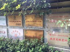 -成都市活水公园