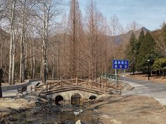 -白水寺森林公园