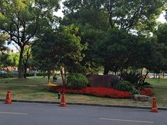 -上海市松江区泗泾医院