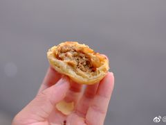 -真老大房鲜肉月饼(南京路步行街店)