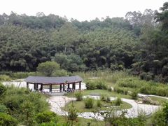 -火炉山森林公园