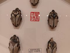 -辽宁大学(崇山校区)