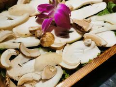 松茸-南门四季铜锅涮肉(左家庄店)