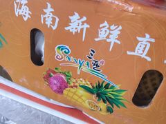 -海南海航航空信息系统公司
