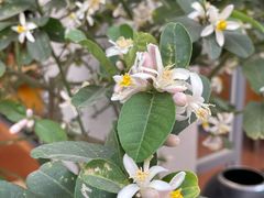 -新辉港式茶餐厅(北栅店)