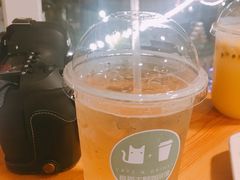 -有猫主题·治愈系猫咖(曾厝垵店)