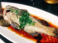 清蒸石斑鱼-达叔香味海鲜(海棠68环球美食街店)