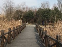 -溱湖国家湿地公园