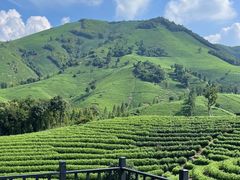 -阿露佳·舌尖上的安吉菜