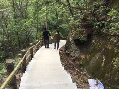 -藏龙百瀑风景区