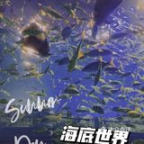 遛娃｜非常值得去绝对不踩雷