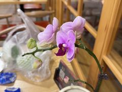 -佛有缘素食馆·荔湾老字号(陈家祠首店)