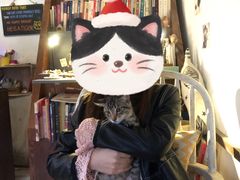 -海边的猫和咖啡馆