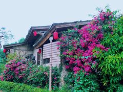 -观澜山水田园