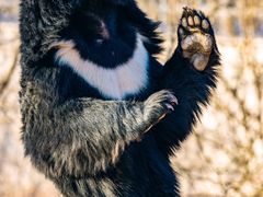 -济南野生动物世界