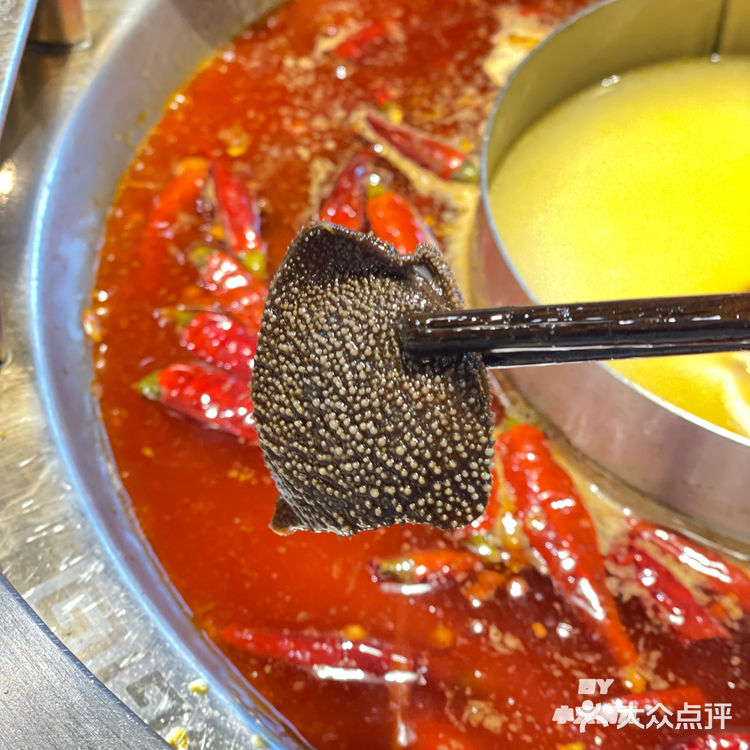 7.8火鳳祥|放“暑价”38代100代金券