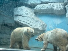 -泉城欧乐堡海洋极地世界