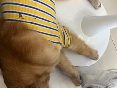 -怪兽屋·羊驼·猫咖·狗咖(俊华广场店)