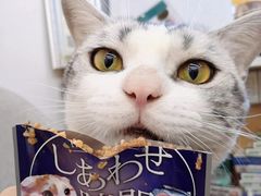 -袖虎宠物(锦绣生态园店)