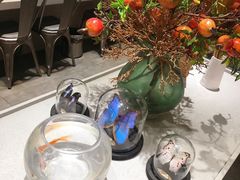 -小豆海棠(嘉兴路店)