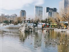 -团结湖公园