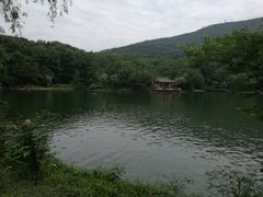 -紫霞湖公园