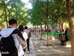 -双榆树公园
