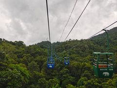 -野象谷景区
